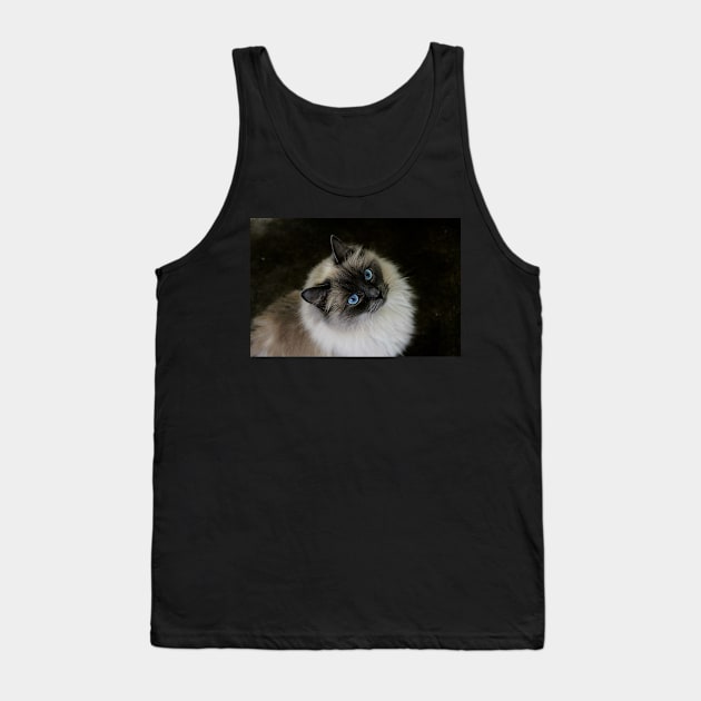 M`Lady Tank Top by Ladymoose